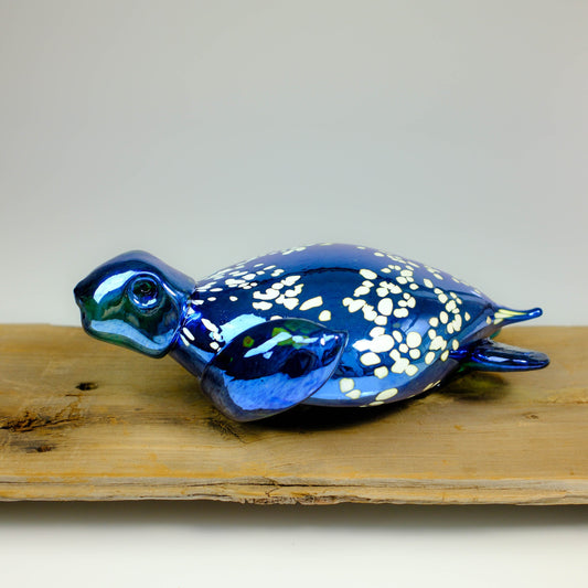 Creature Show 2025 - Turtles