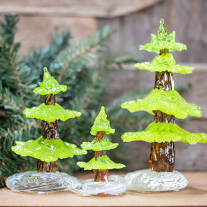 Pine Trees