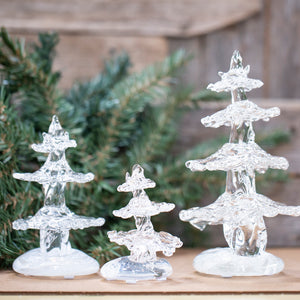 Pine Trees