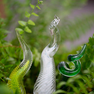 Three Percolla Reeds, one light green, one white, and one dark green, pictured in a garden 
