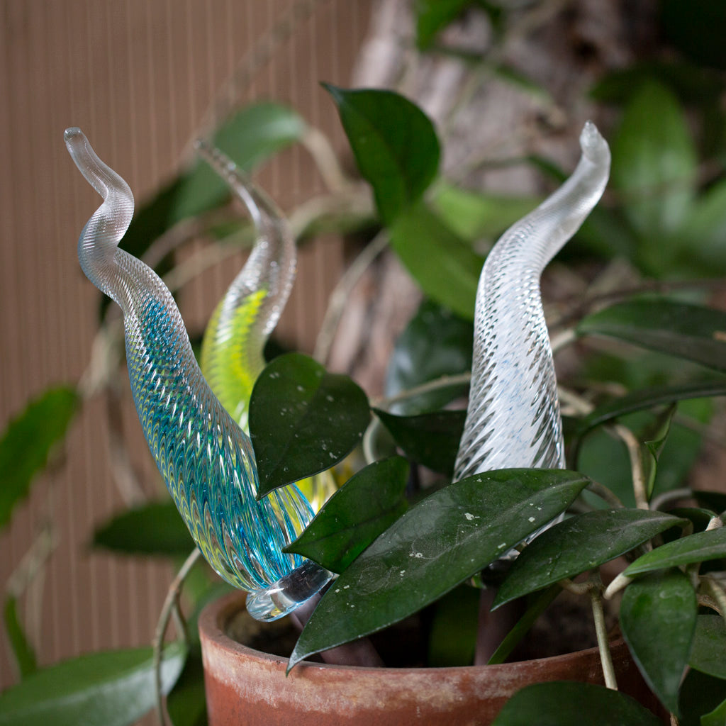 Lime green, turqoise, and white Percolla Reeds are pictured in a potted plant.