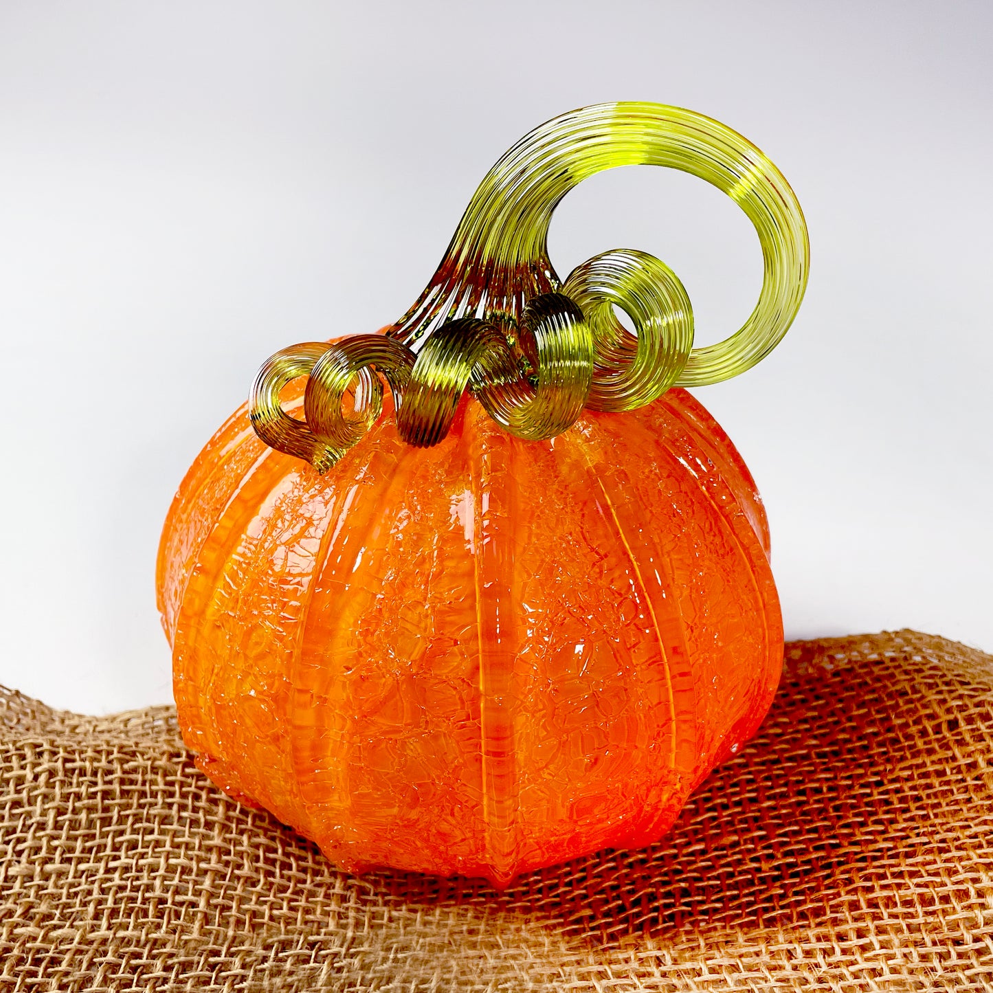 2025 Virtual Pumpkin Show