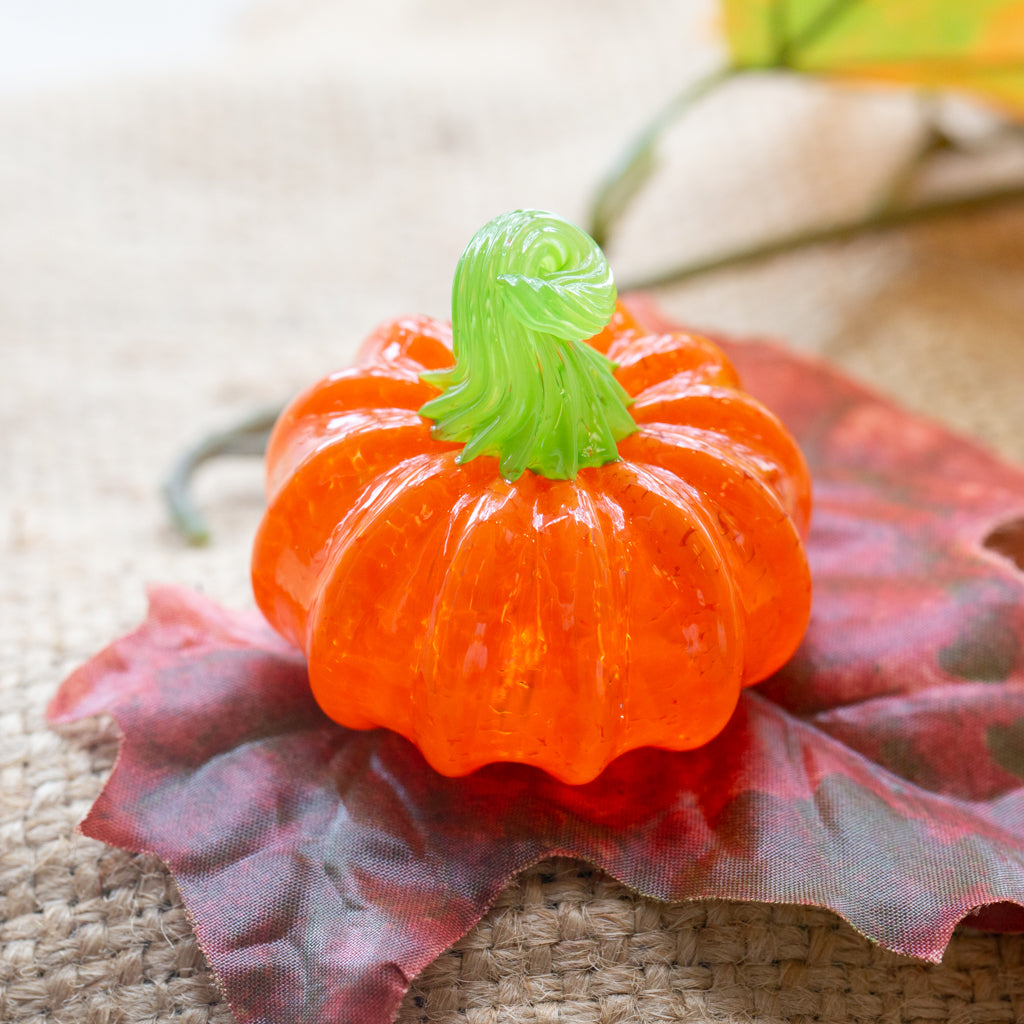 An orange mini pumpkin with a green stem sits on top of a red leaf.