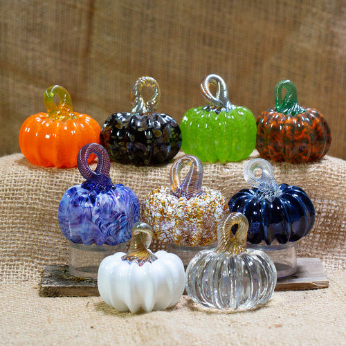 Pumpkinettes: Fairy Garden Mini Pumpkins