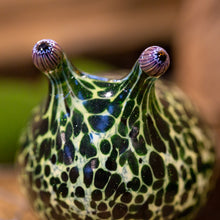 Glass Slugs