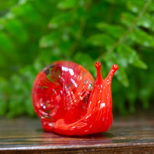 Rainbow Glass Snails