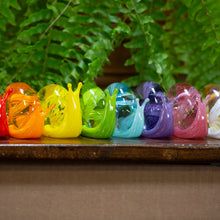 Rainbow Glass Snails