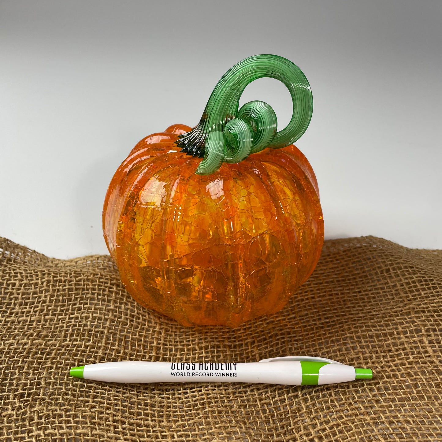 2025 Virtual Pumpkin Show