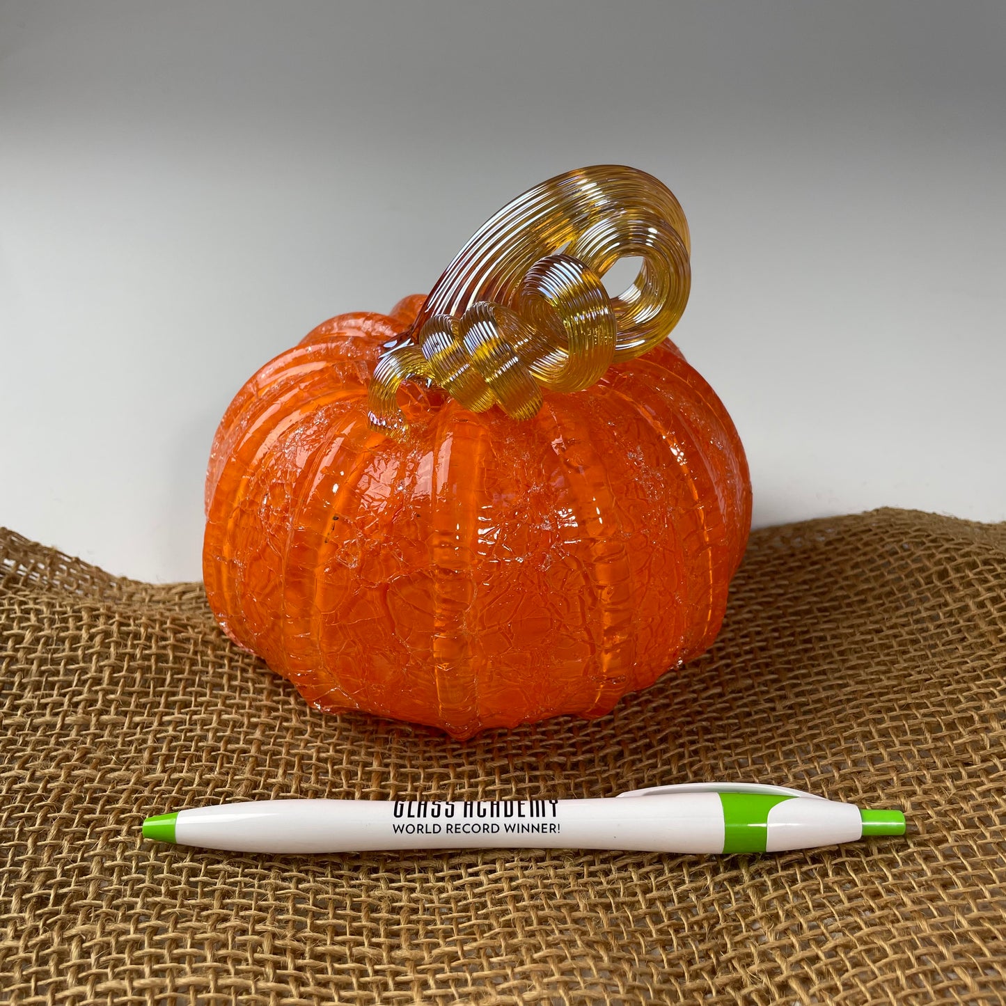 2025 Virtual Pumpkin Show