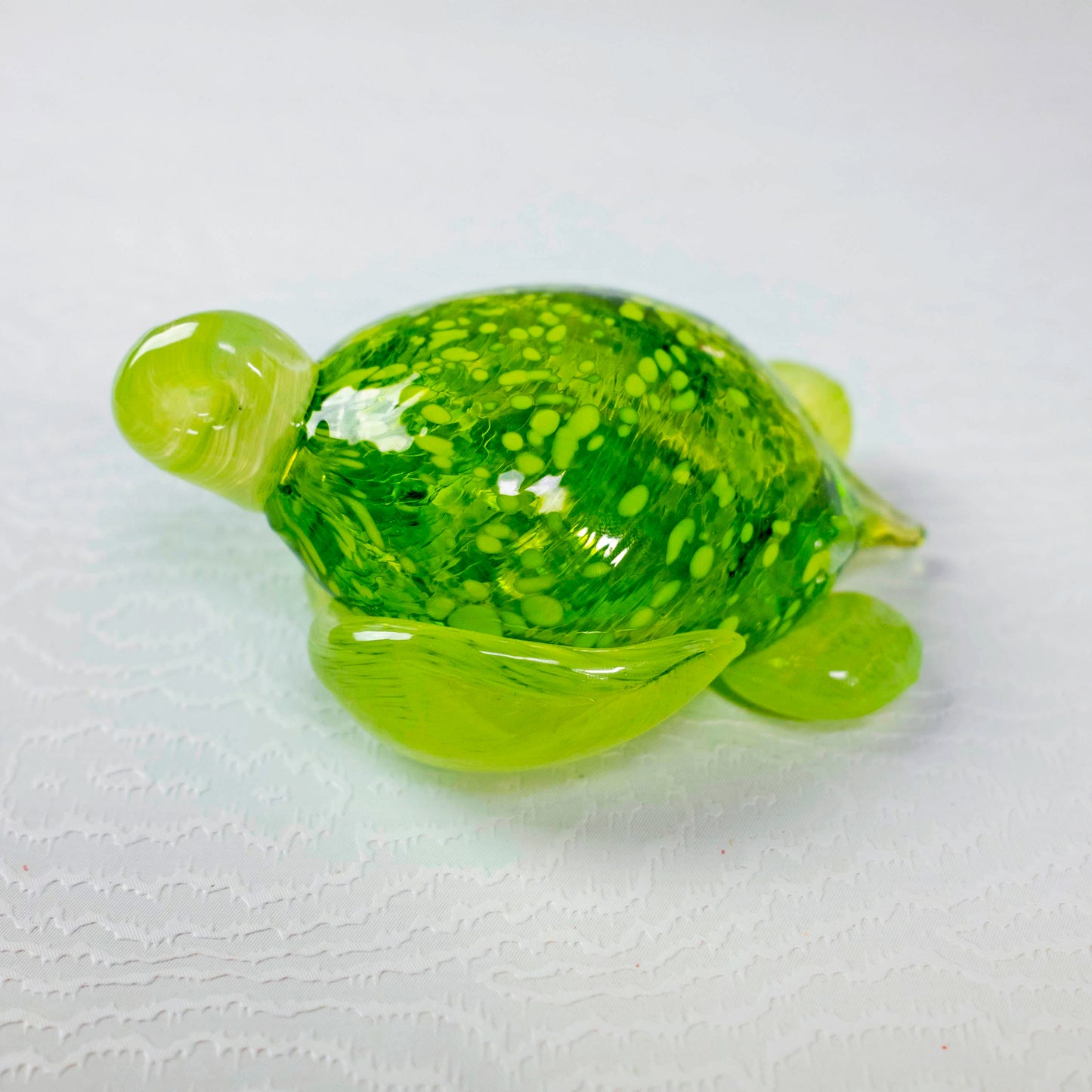 Sea Turtles