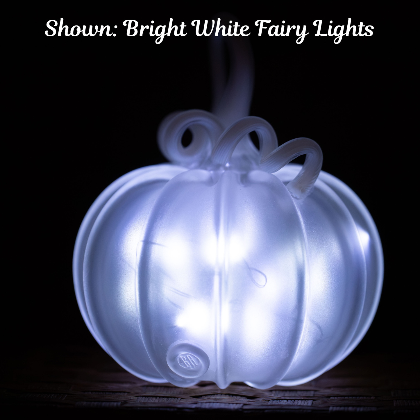 Frosted Lantern the 2026 Signature Pumpkin!