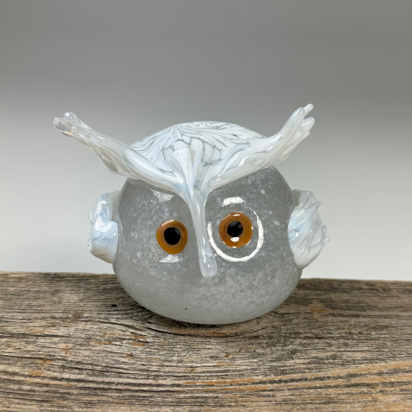 Nester Owls ~ 2026 Collection