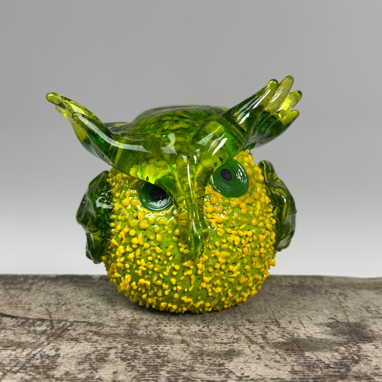 Nester Owls ~ 2026 Collection