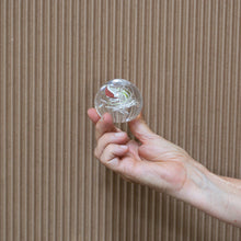 CLASS EXPERIENCE: Meditation Globe / Intro Class
