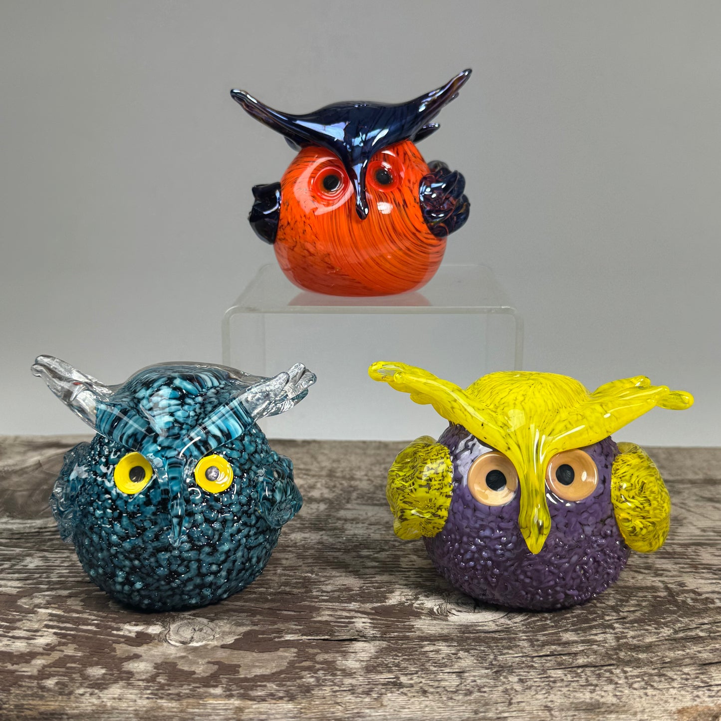 Nester Owls ~ 2026 Collection