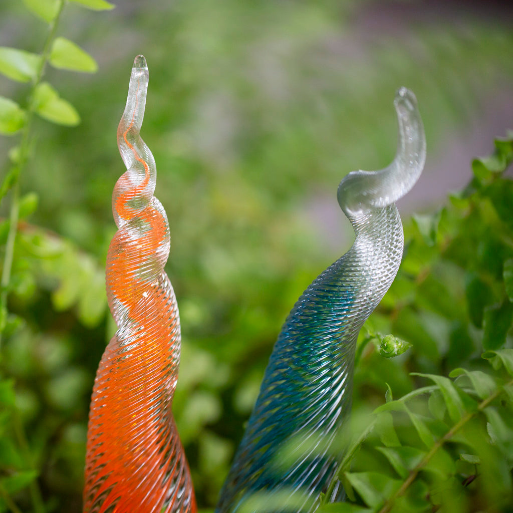 An orange and a blue Percolla Reed are planted in a green garden.
