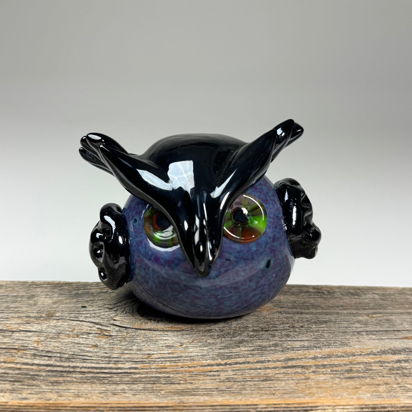 Nester Owls ~ 2026 Collection
