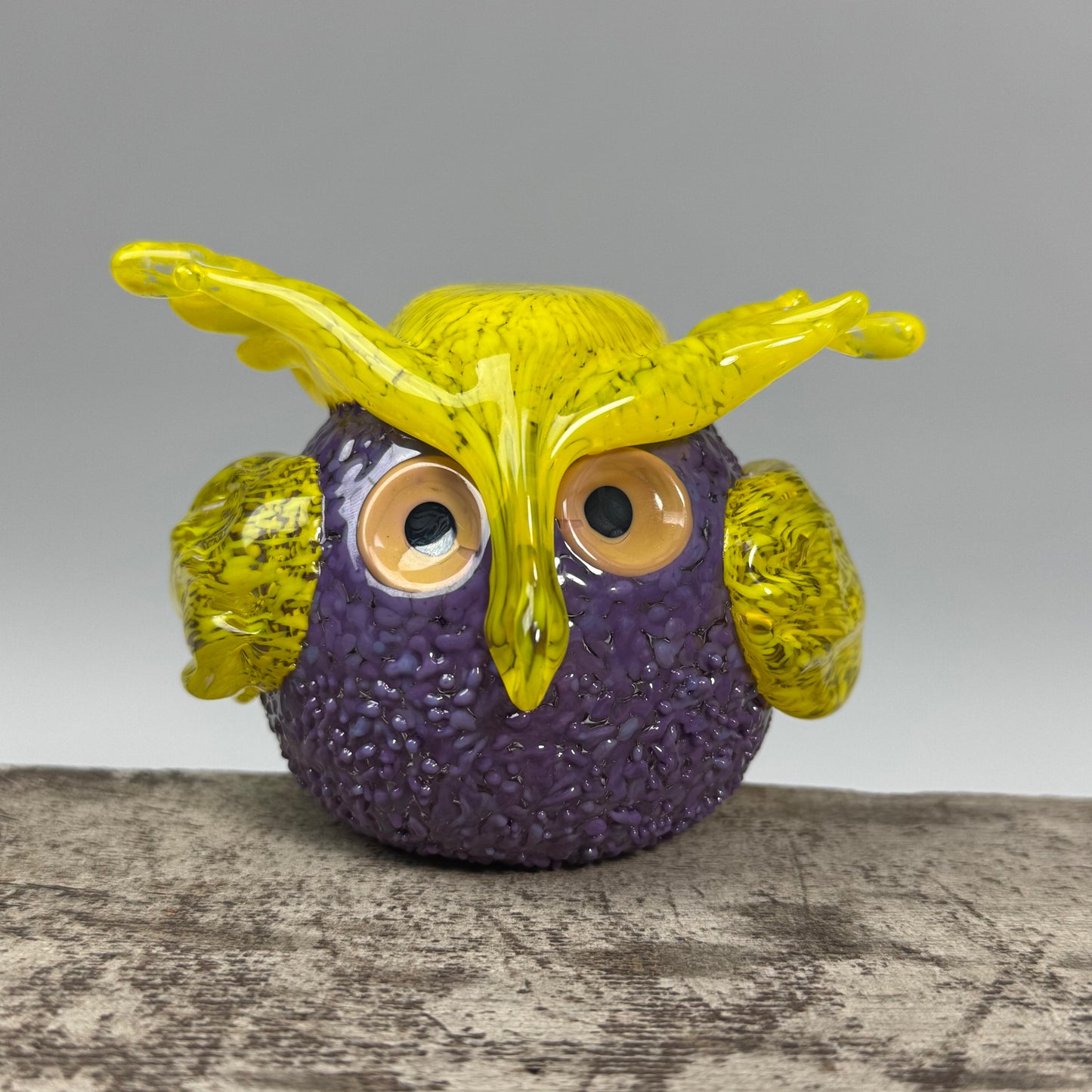 Nester Owls ~ 2026 Collection