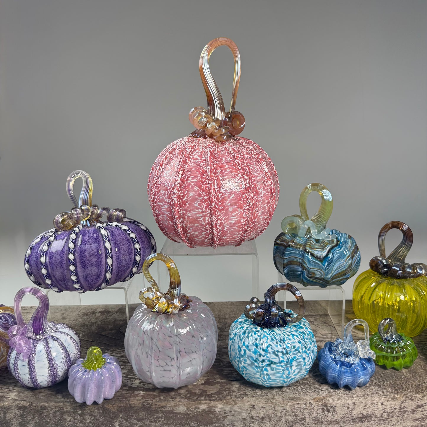 Spring 2026 One-and-Done Pumpkins