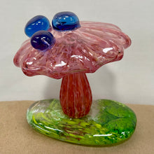 Rainforest Mushroom