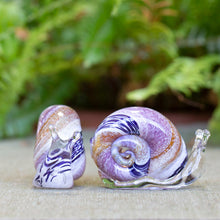 Glass Snails