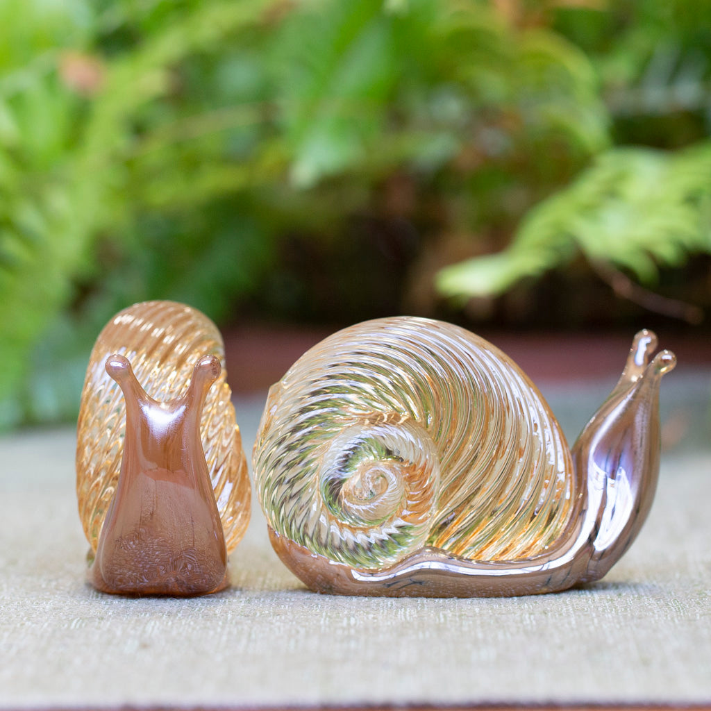 Glass Snails