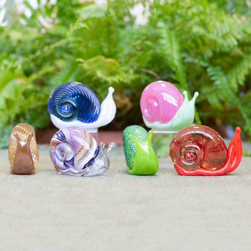 Glass Snails