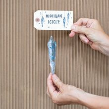 CLASS EXPERIENCE: Icicle ~ A Winter Classic!